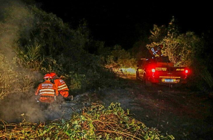 Imagem de compartilhamento para o artigo Governo de MS detalha ações de combate aos incêndios no Pantanal da MS Todo dia